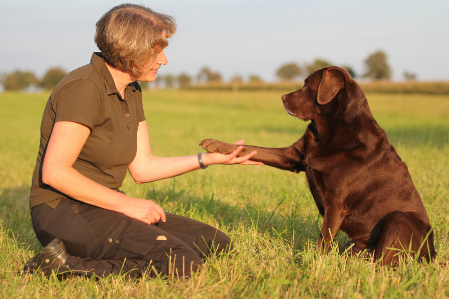 Tierisch gute Schule MenschHundTeam